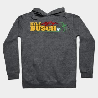 #18 Busch Sign. Car Hoodie